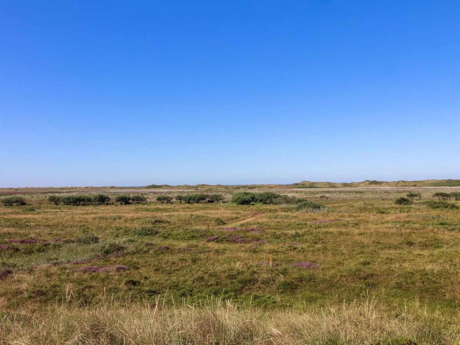 "Alim" - 300m from the sea-Outside