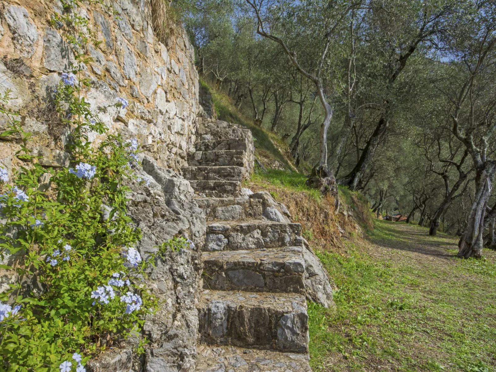 La Capannella-Outside