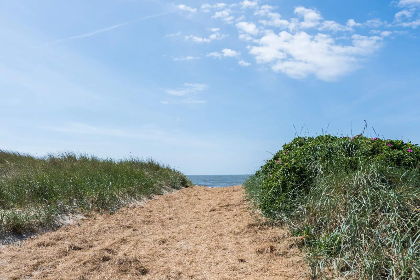 Maison de vacances pour 2 a Blåvand-Non étiqueté