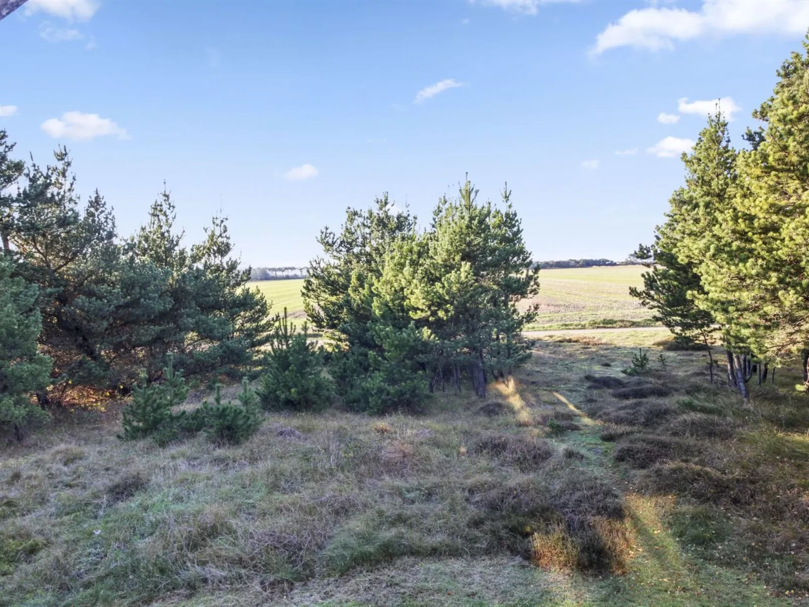 "Anna" - 1km from the sea-Inside