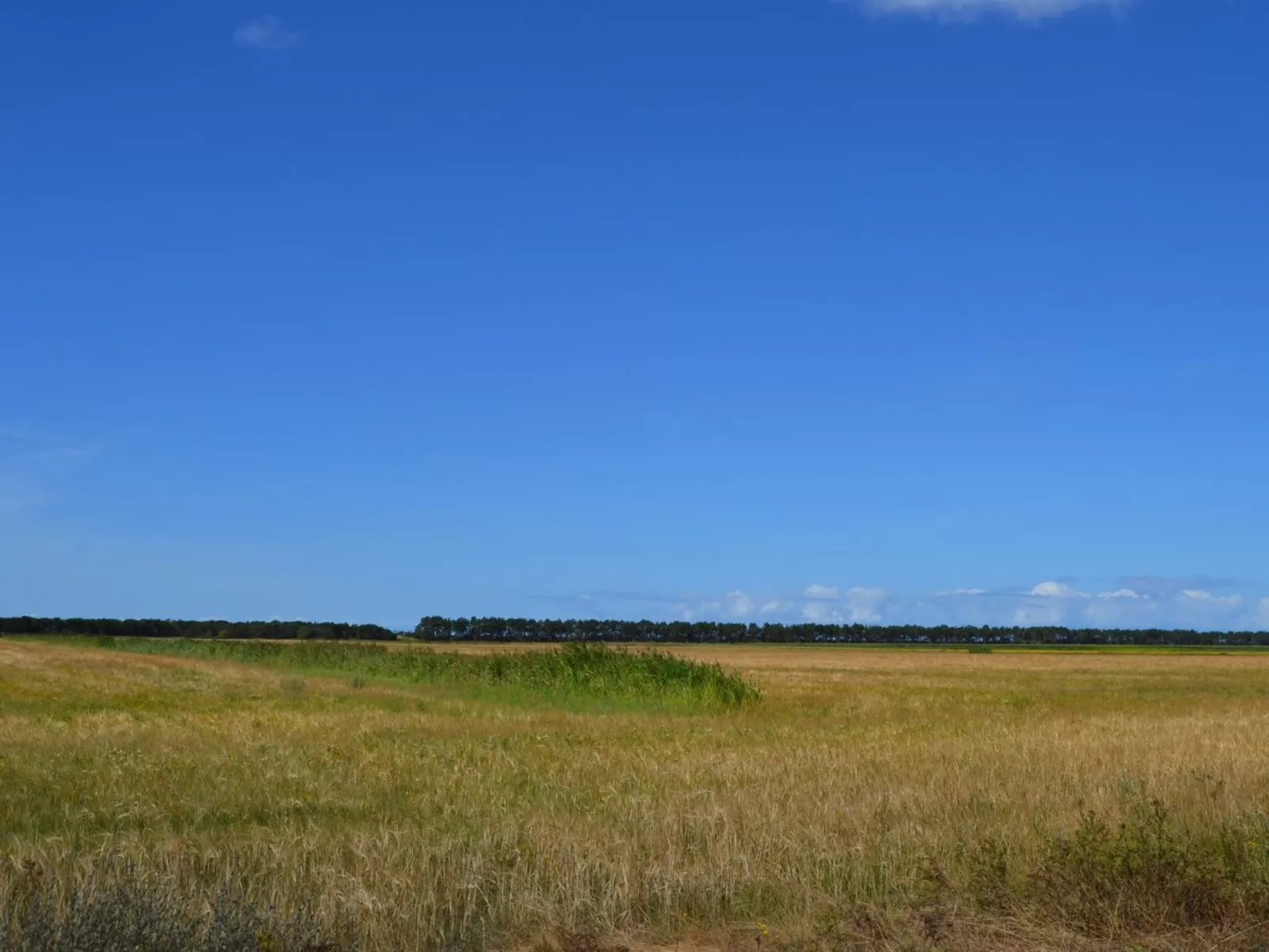 "Anna" - 1km from the sea-Outside