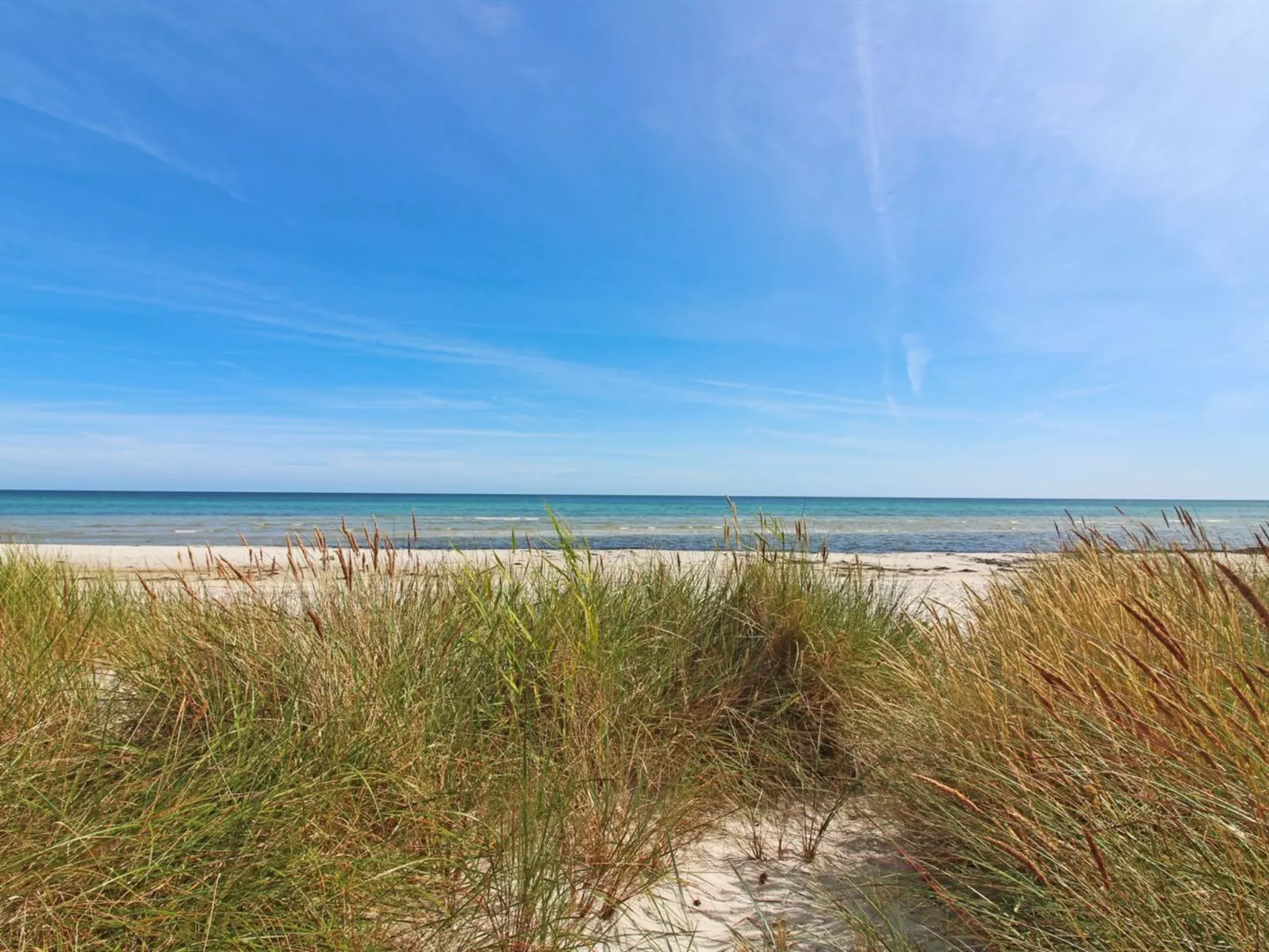 "Læff" - 50m from the sea