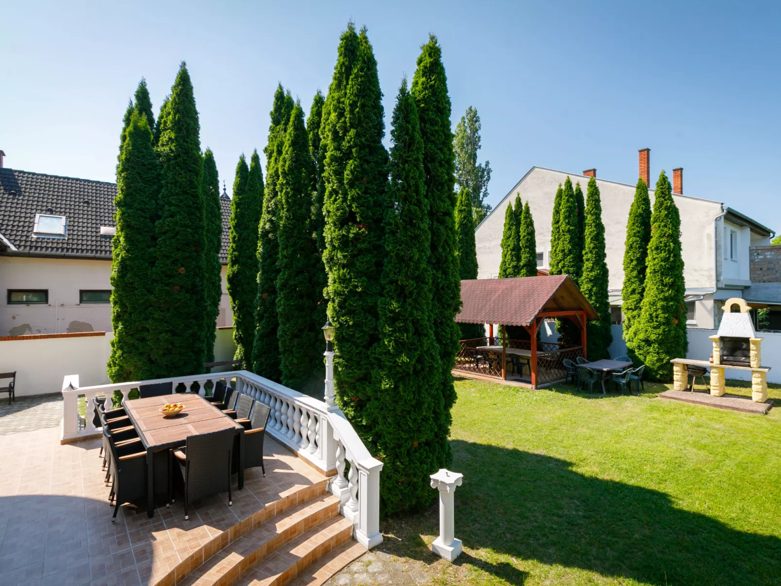 Big Thuja-Outside