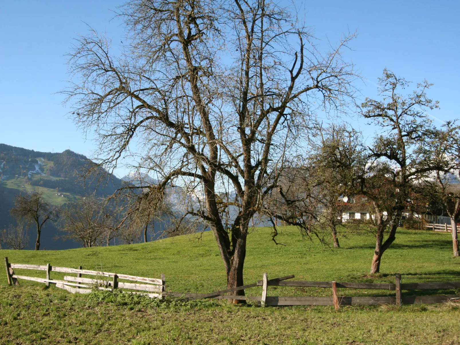 Eberharter-Outside