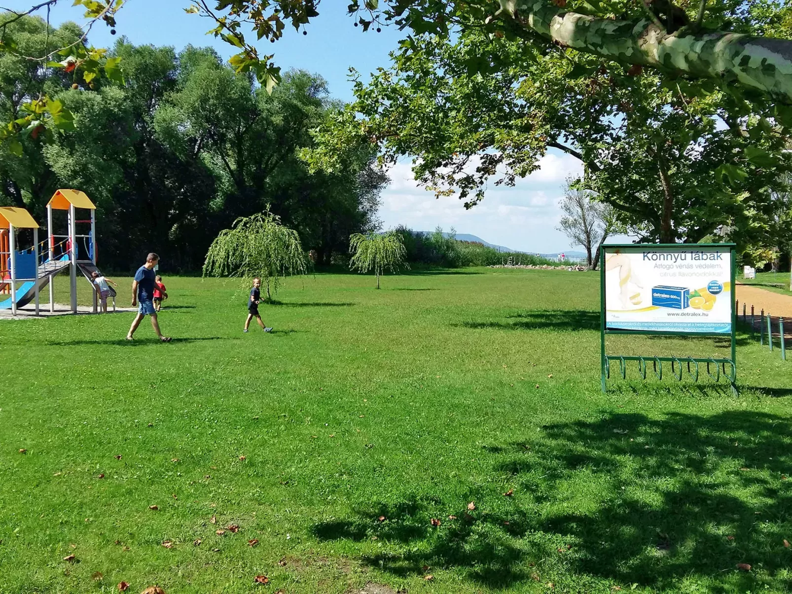 Sunny Day-Area