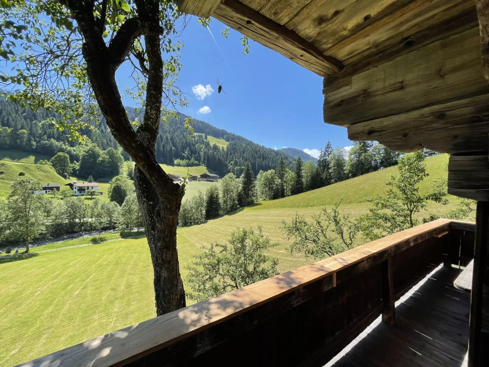 Troadkasten-Draußen