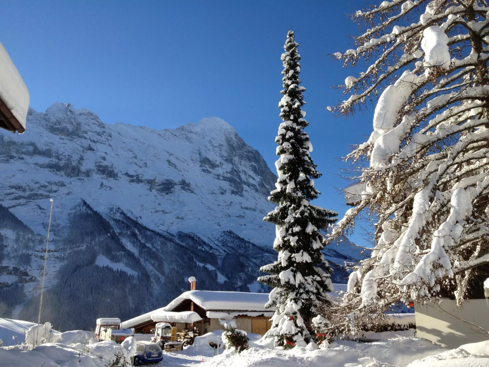 Chalet Bergfink-Outside
