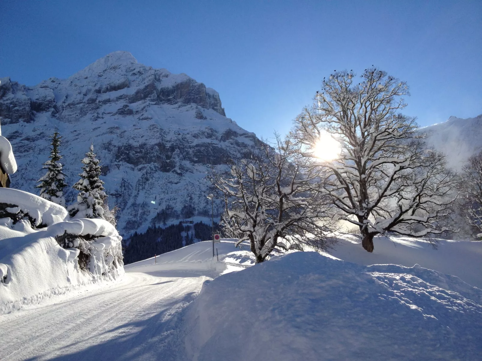 Chalet Bergfink-Outside
