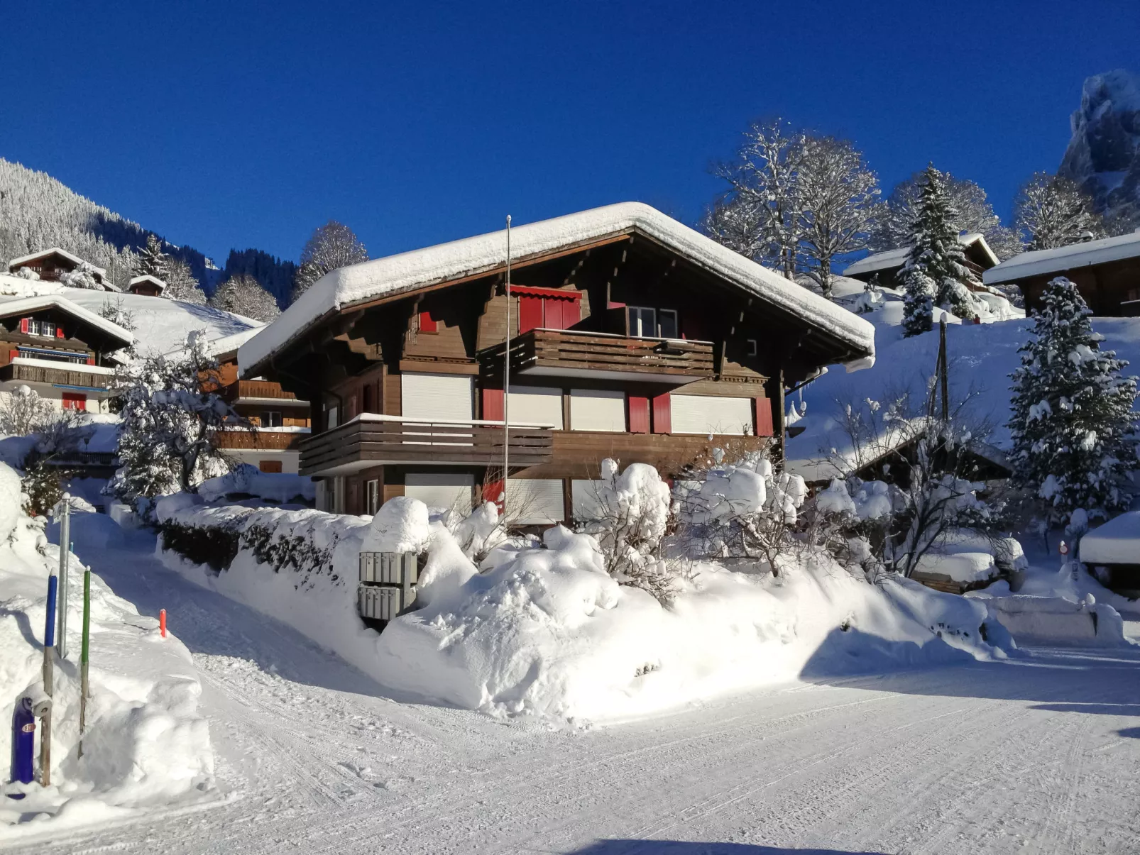 Chalet Bergfink-Outside