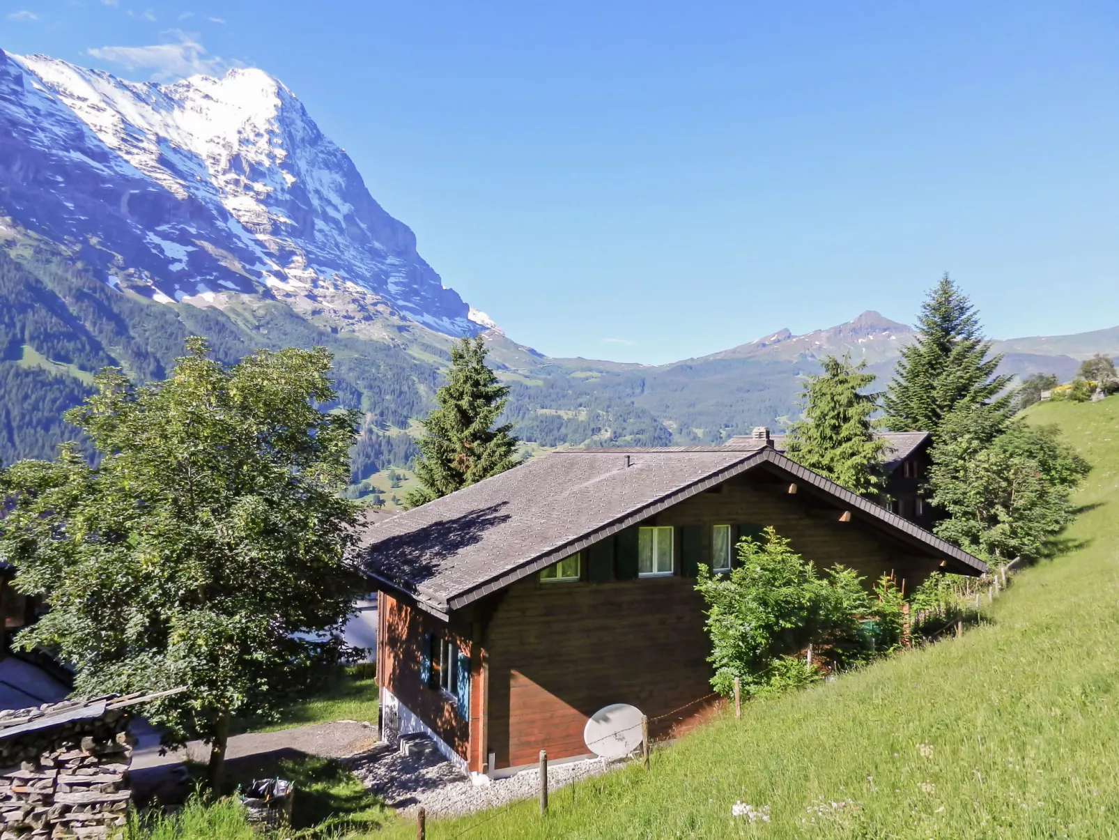 Chalet Bienli Mitte-Dehors