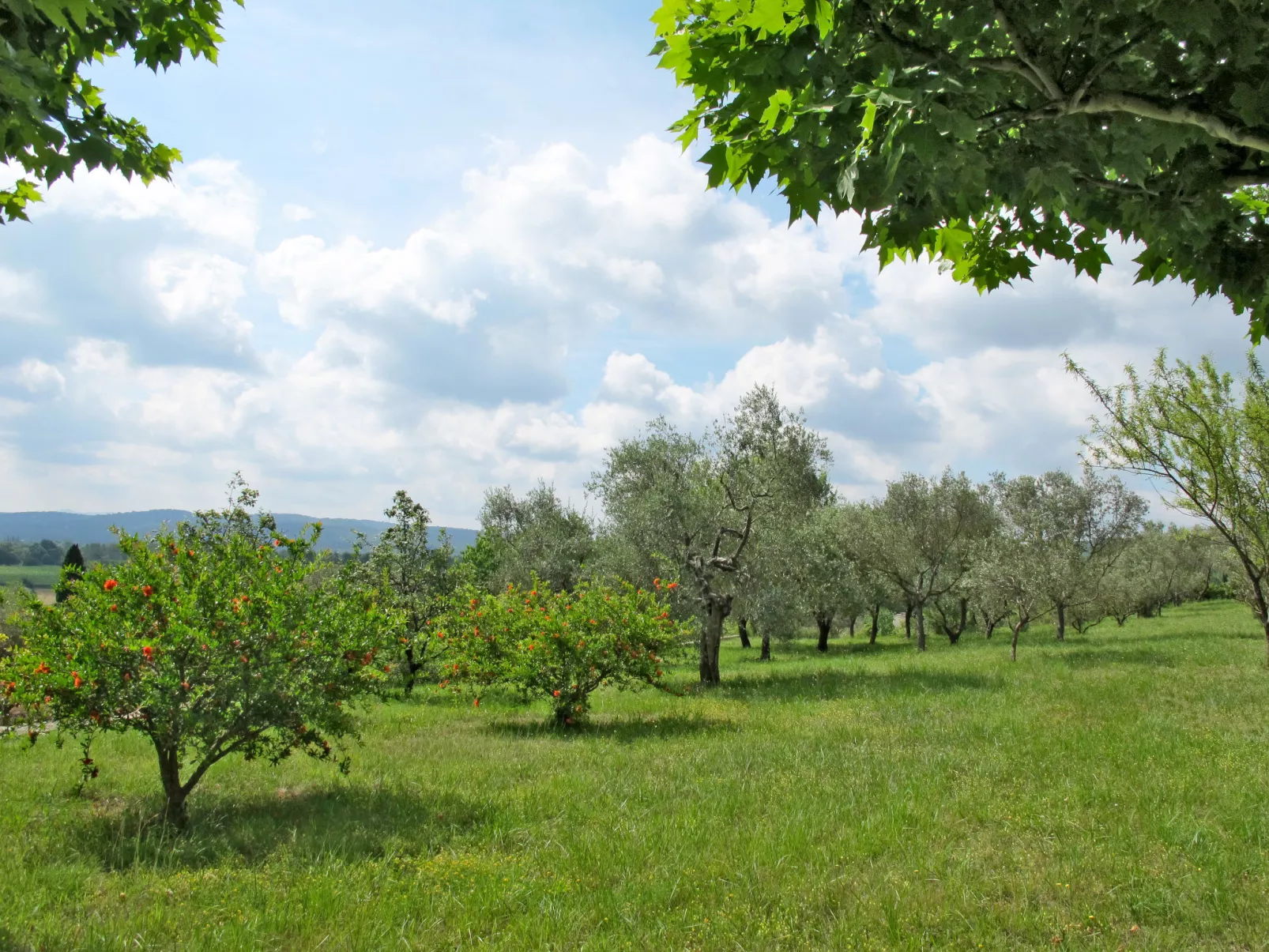 Mas de l'Adrech-Outside