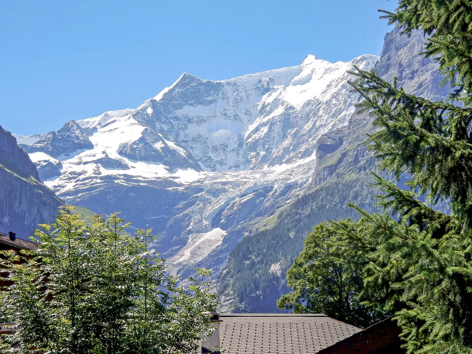 Chalet Bienli Mitte-Dehors