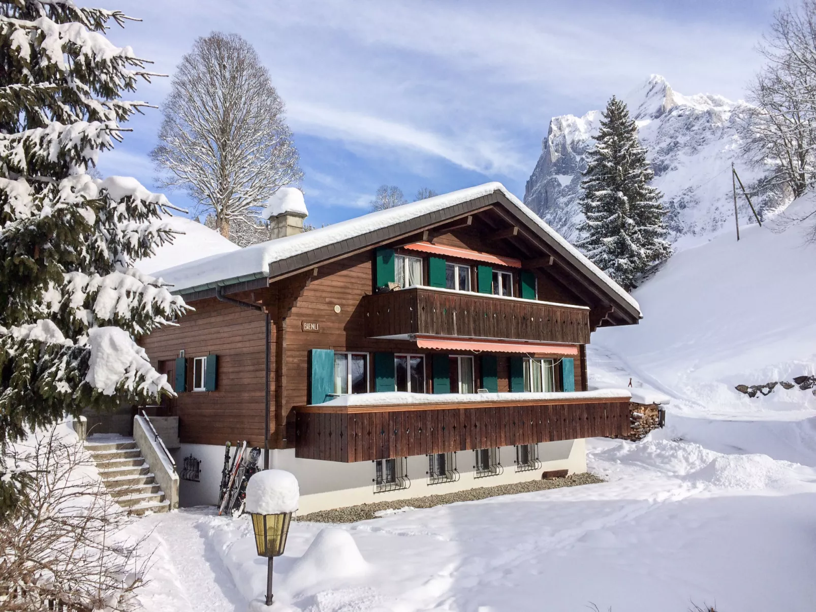 Chalet Bienli Mitte-Dehors