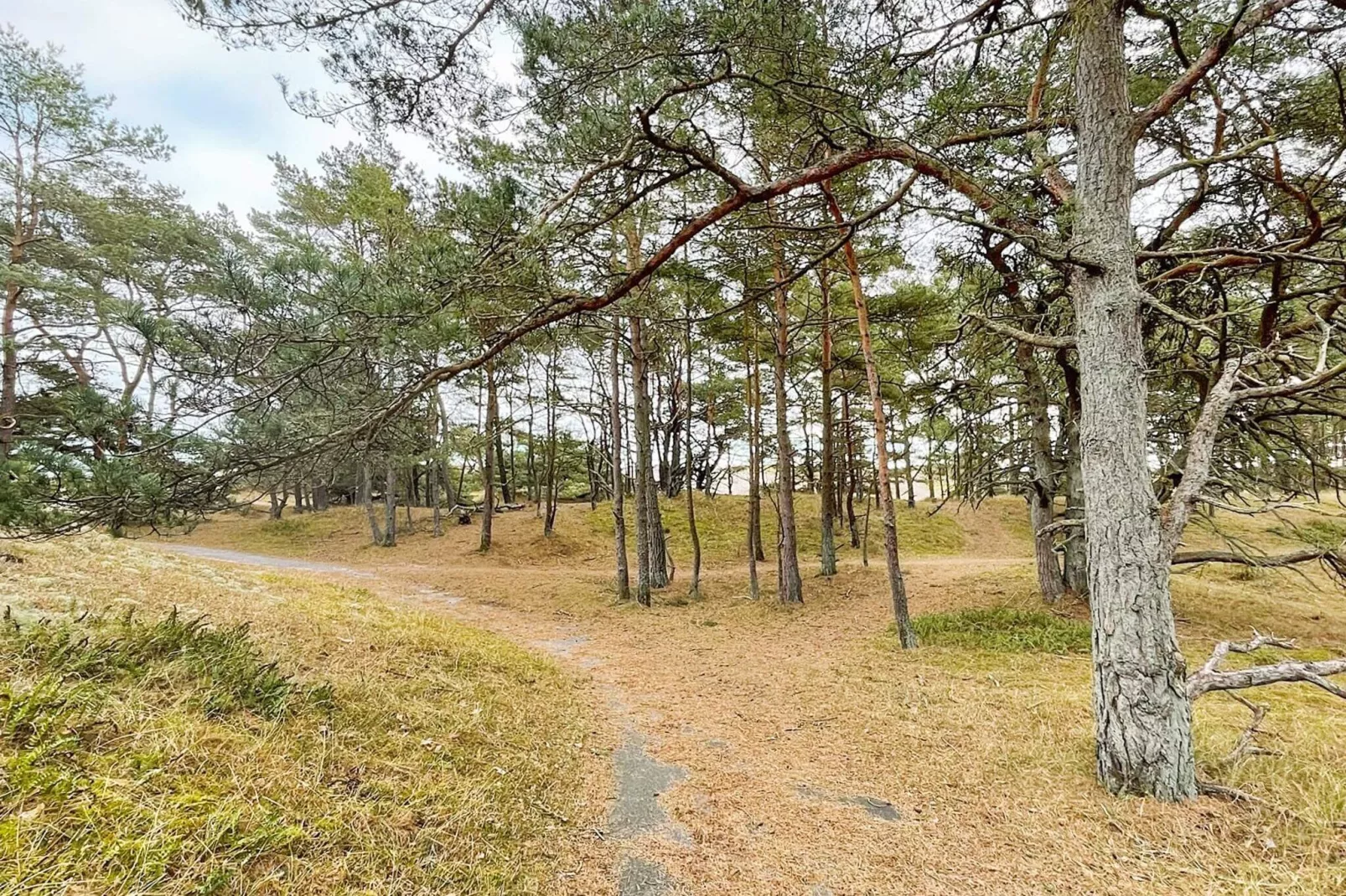 8 person holiday home in YNGSJÖ-By Traum-Not tagged