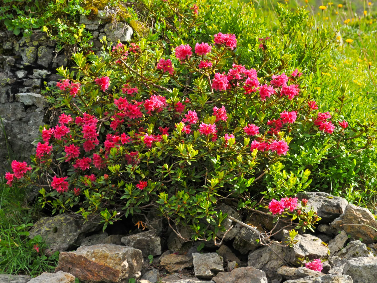 Bristol Apt.S-Inside