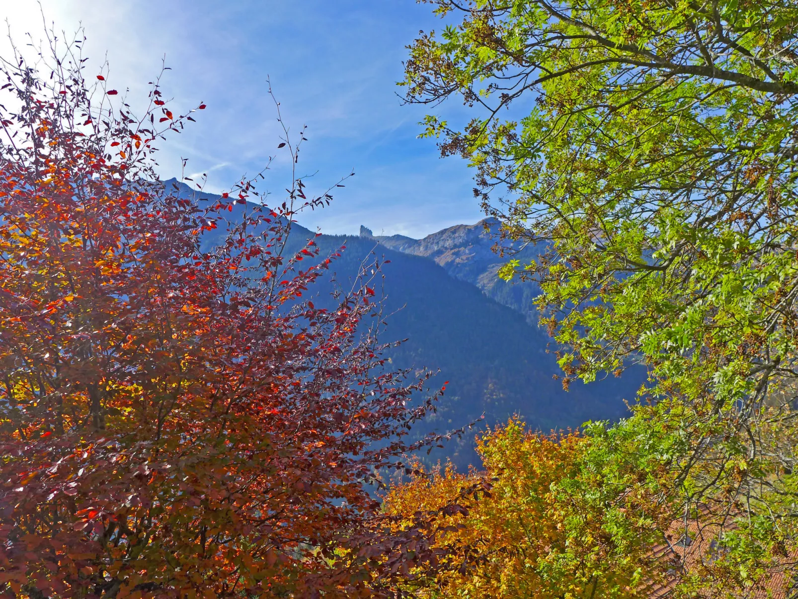 Drei Tannen-Dehors