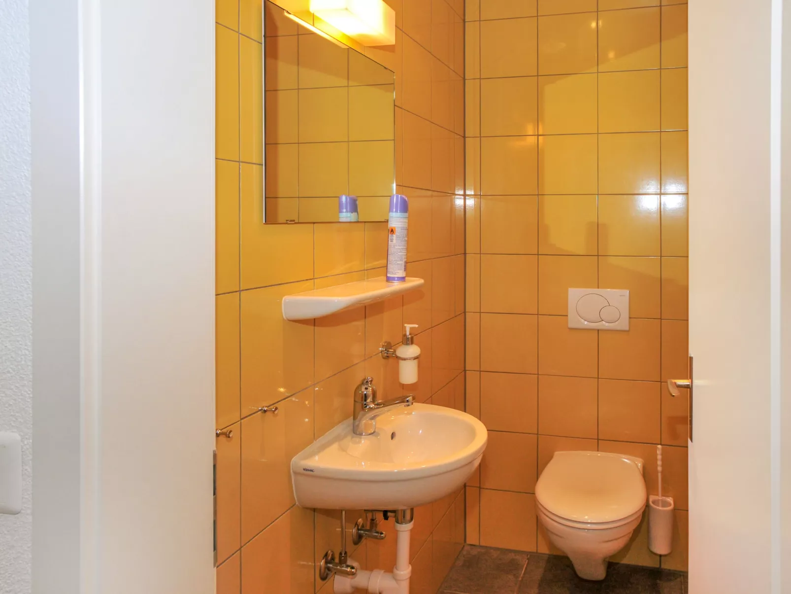 Goldenhorn Apt.F-Inside