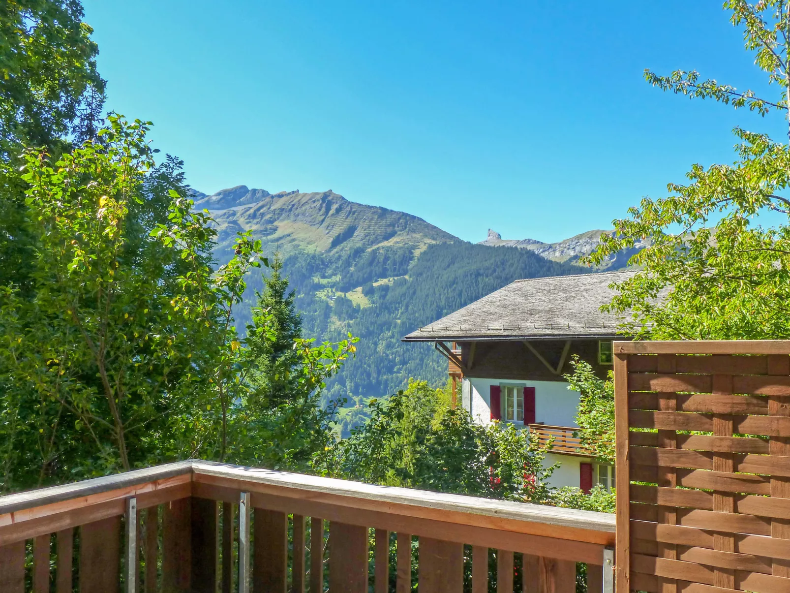 Schweizerhof Apt. S-Outside