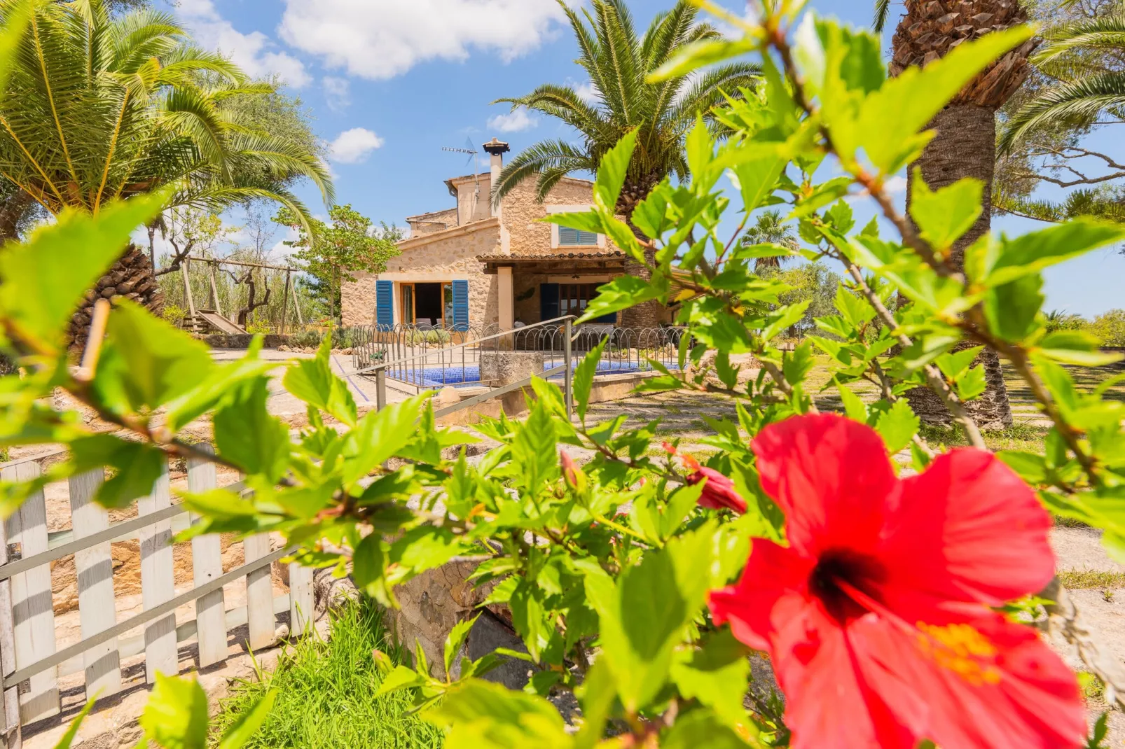 Hortella (ecofinca)-Gardens summer