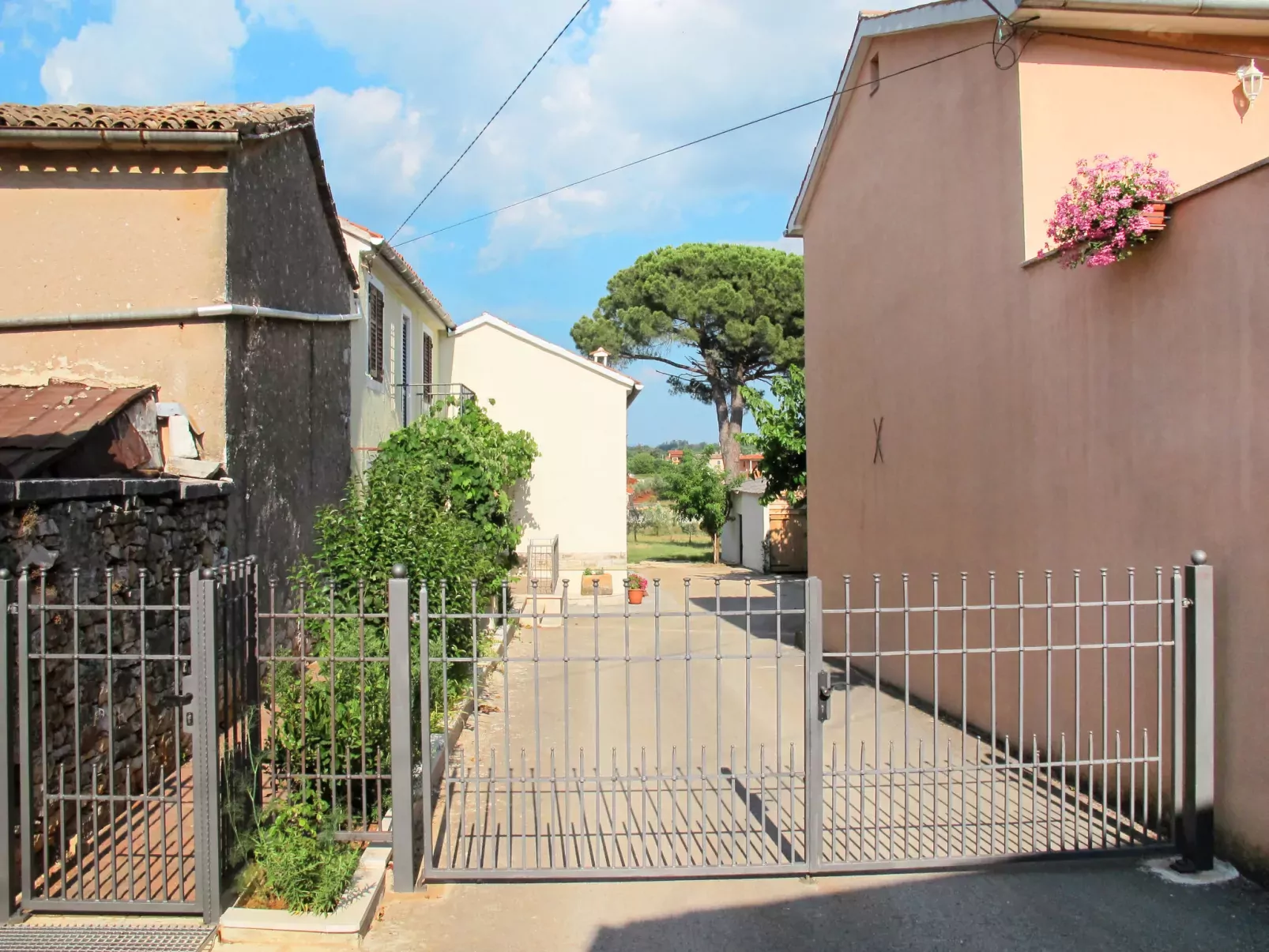 Pinia II-Outside
