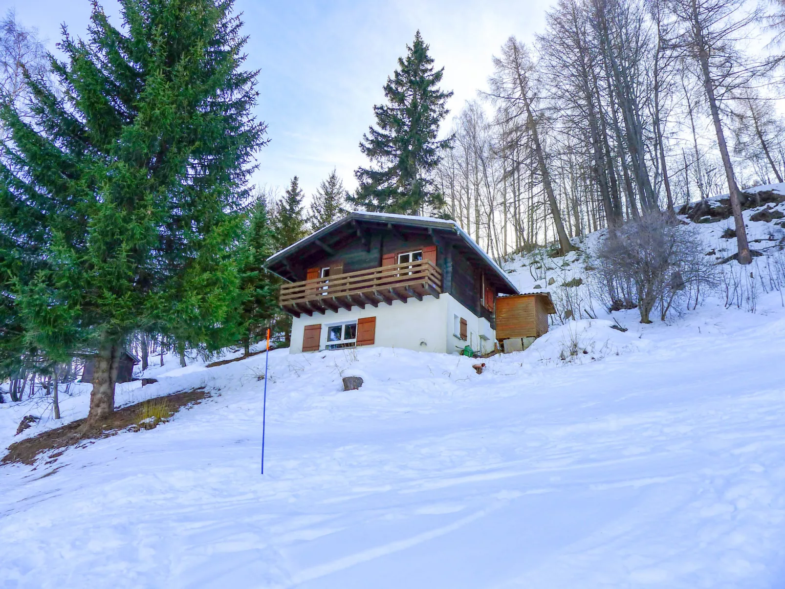 Chalet Ninette-Outside