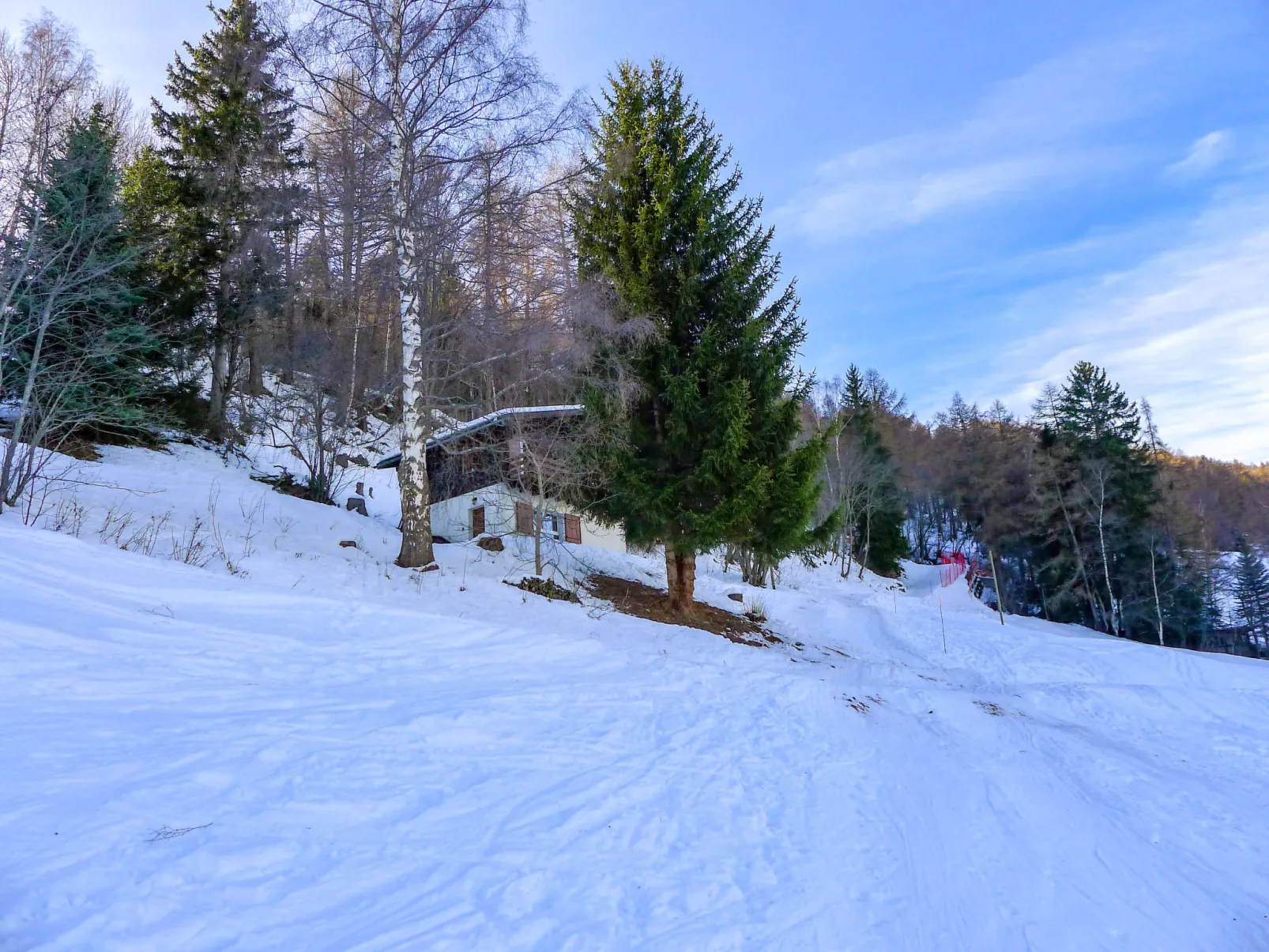 Chalet Ninette-Outside