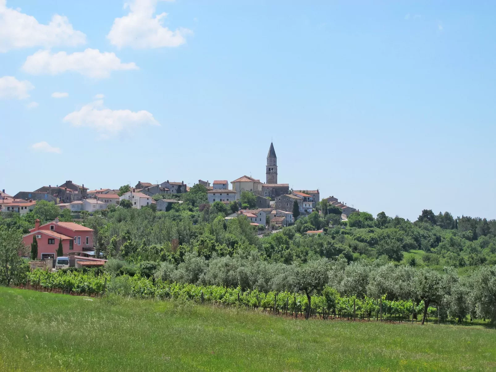 Mirta-Area