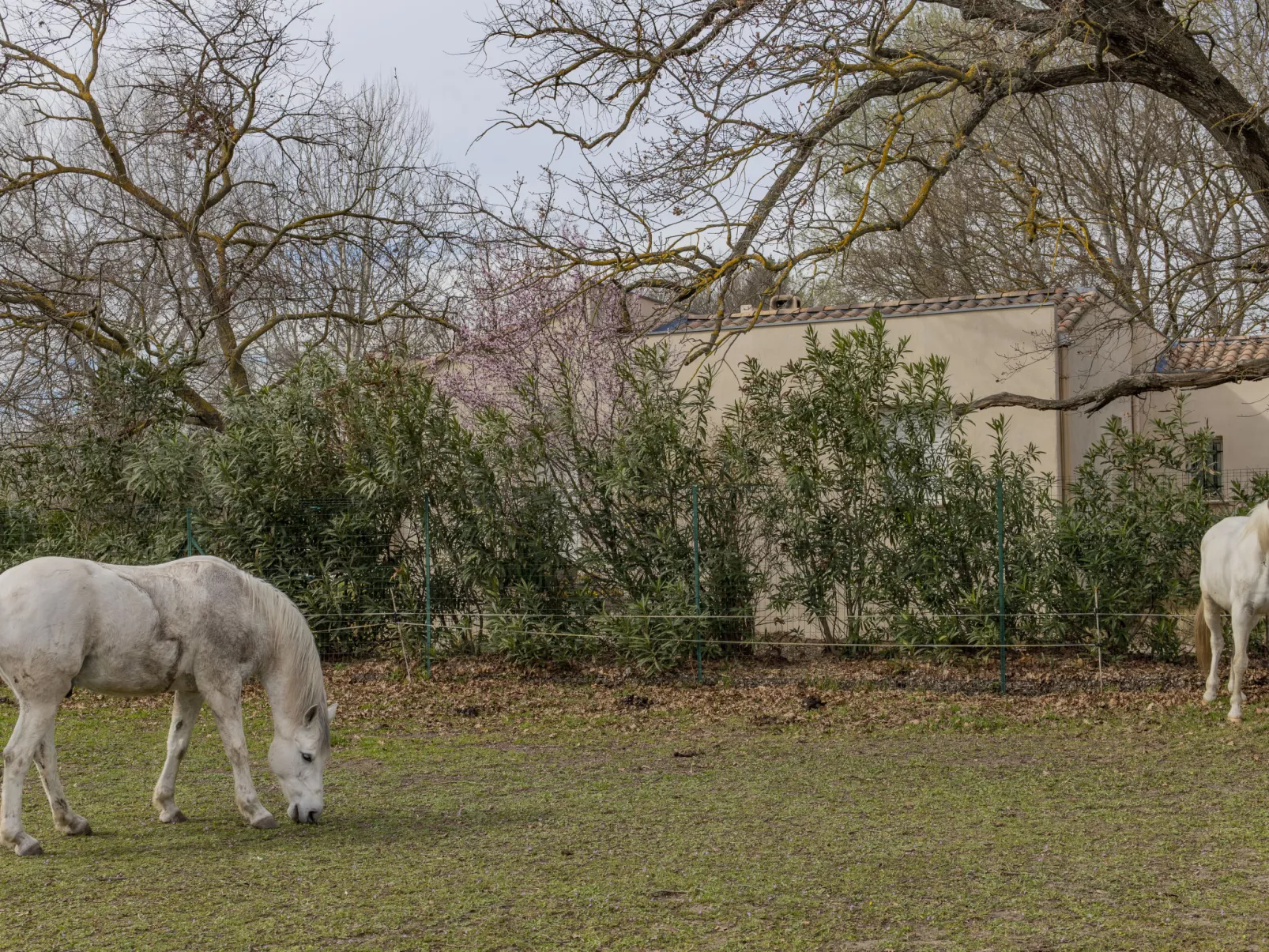 L'Aquillon-Outside