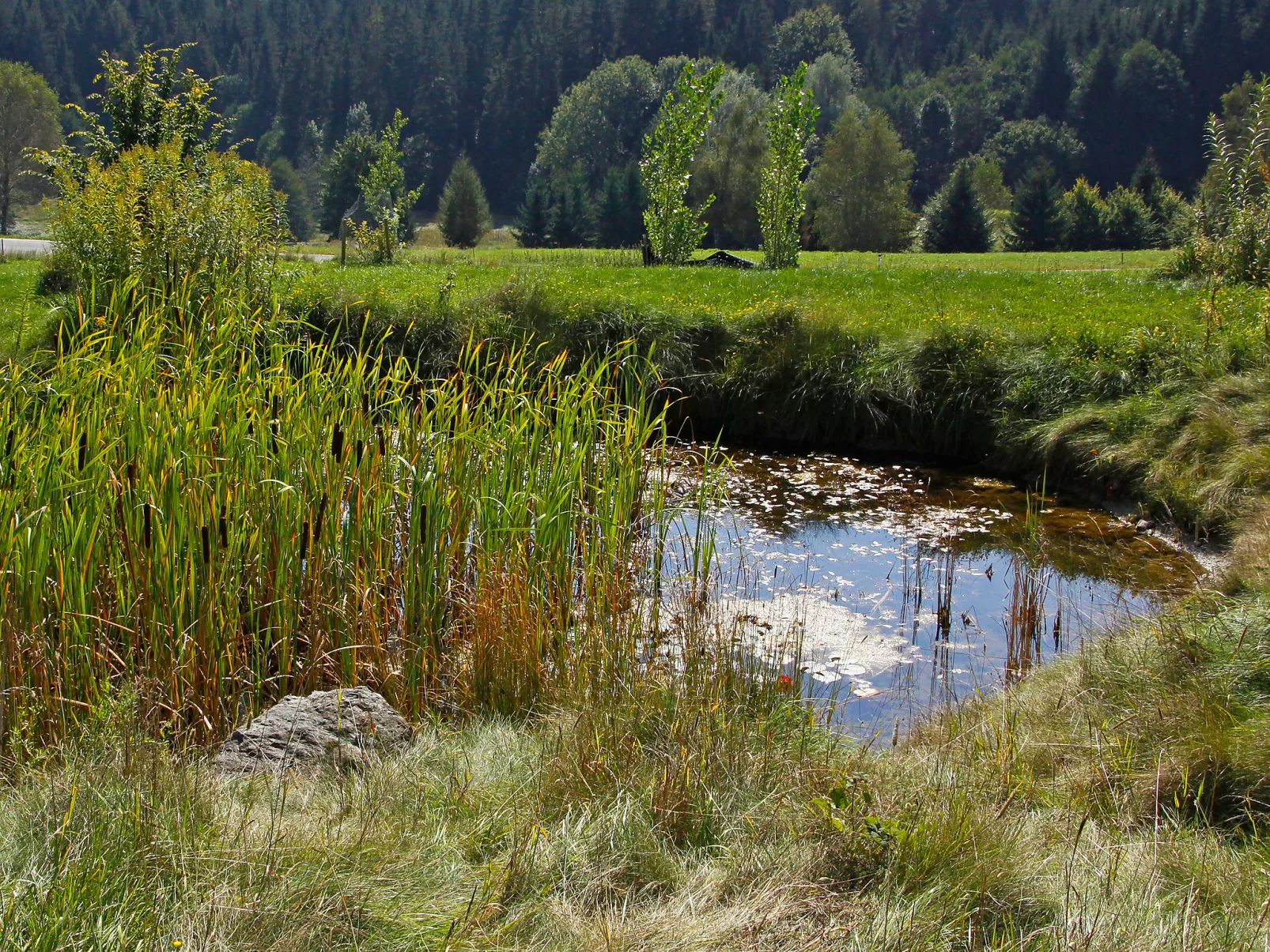 Carinthia-Draußen