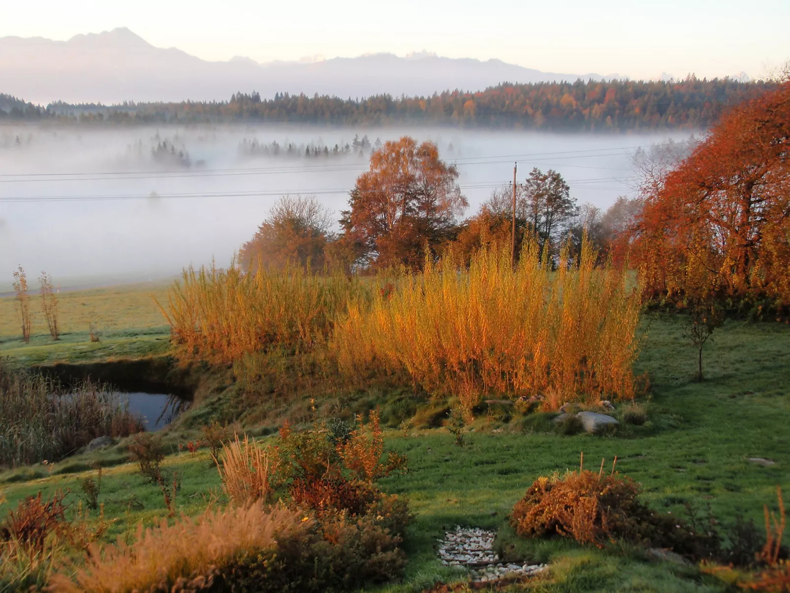 Carinthia-Drinnen