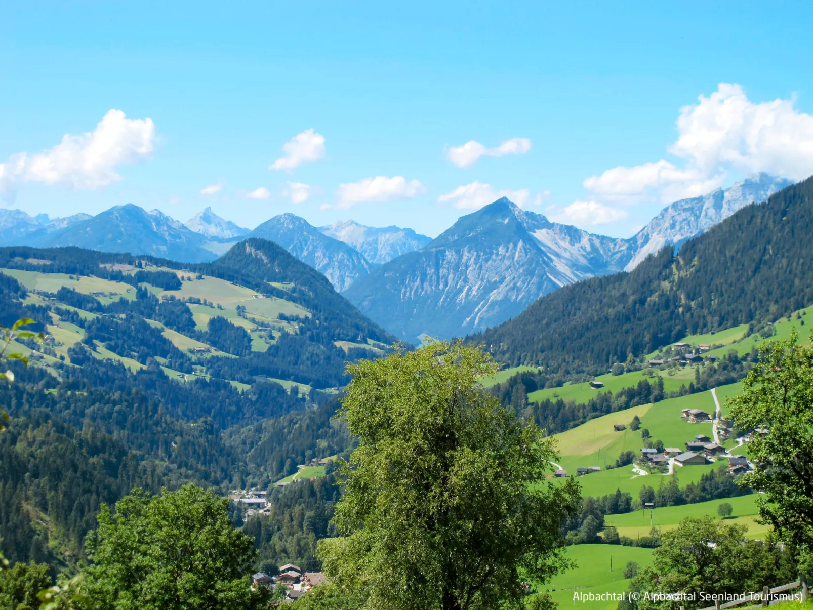 Kaiserhof-Area