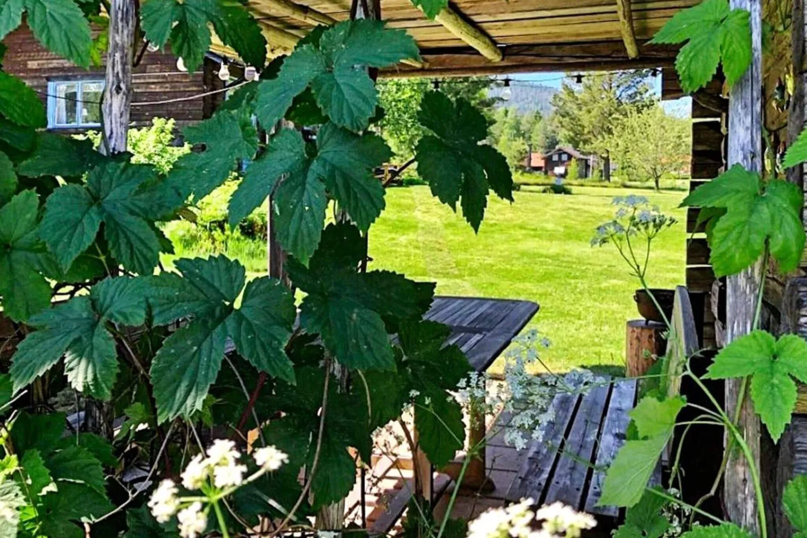 outdoor