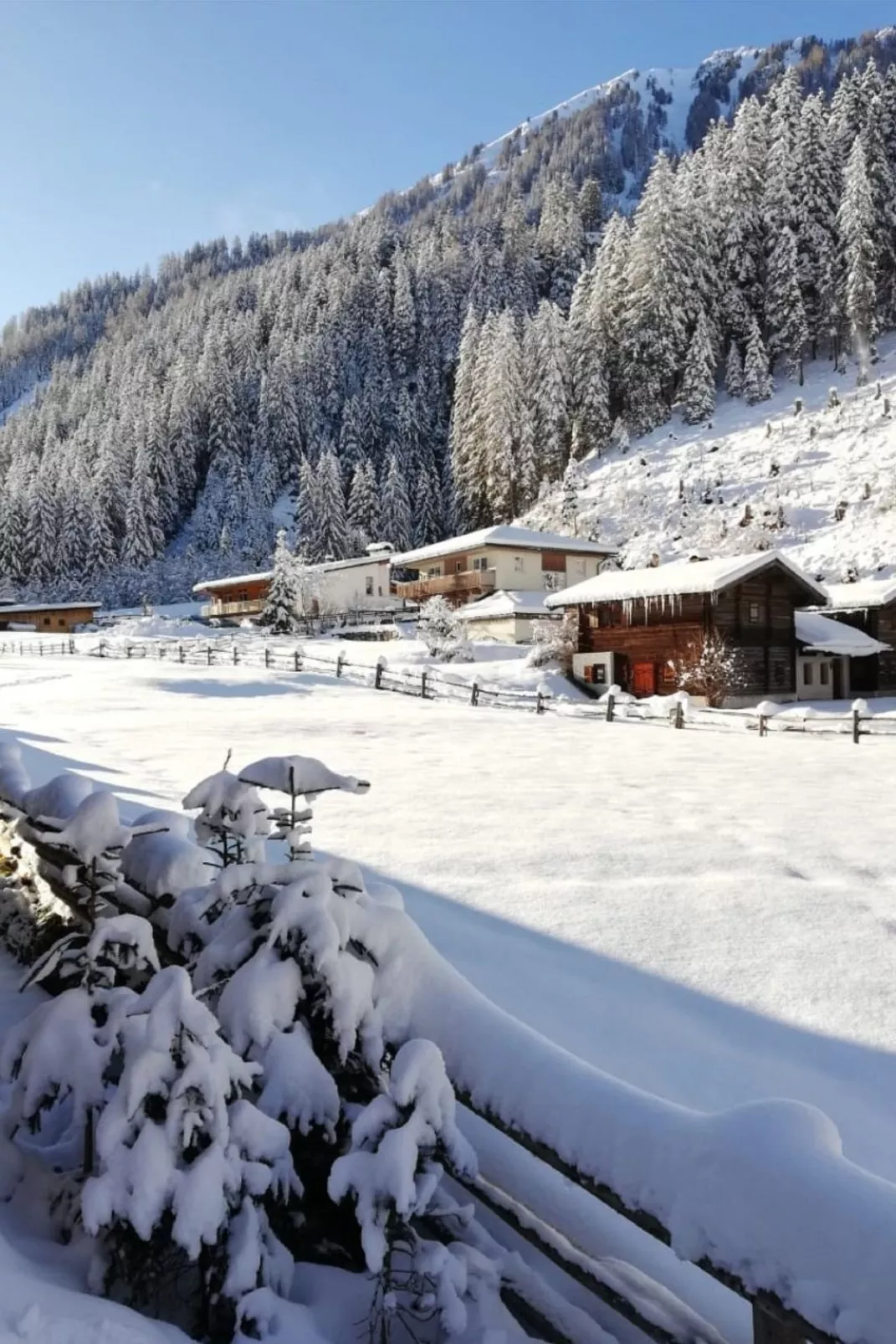 Chalet Alois-Dehors