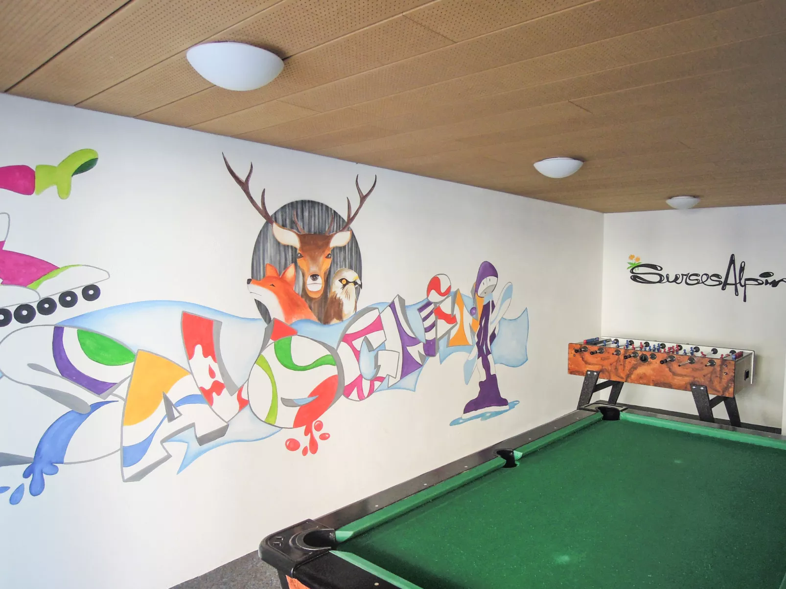 Surses Alpin-Inside