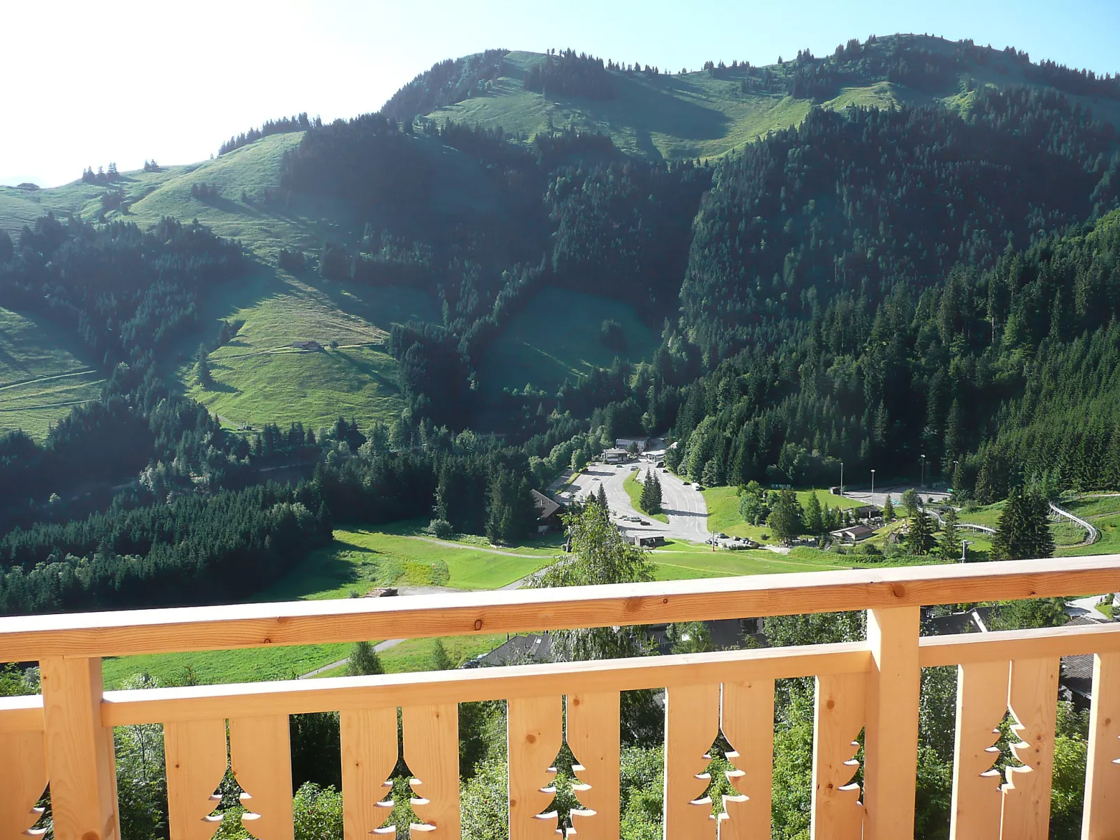 Chalet La Poya-Draußen