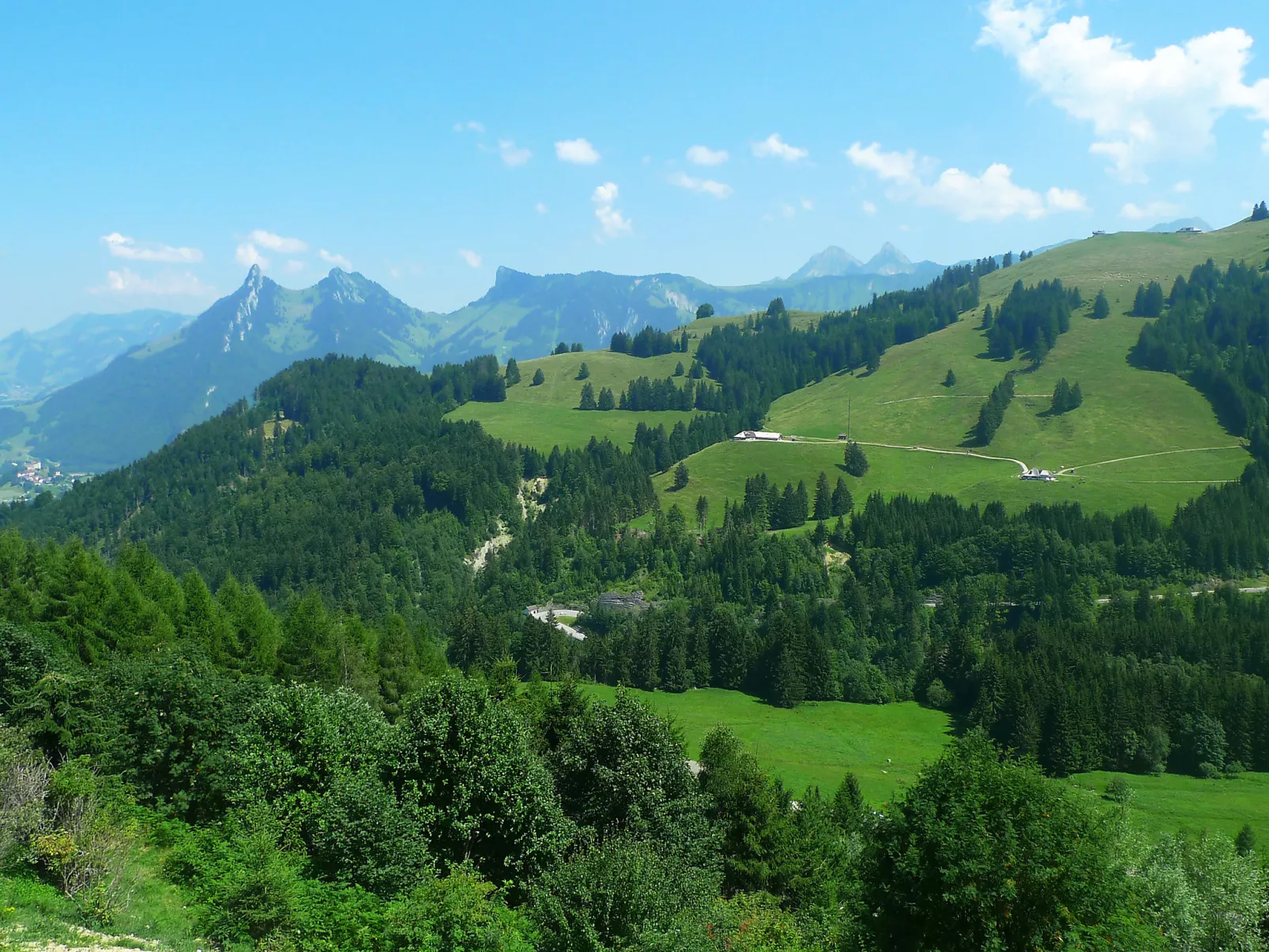 Chalet La Poya-Draußen