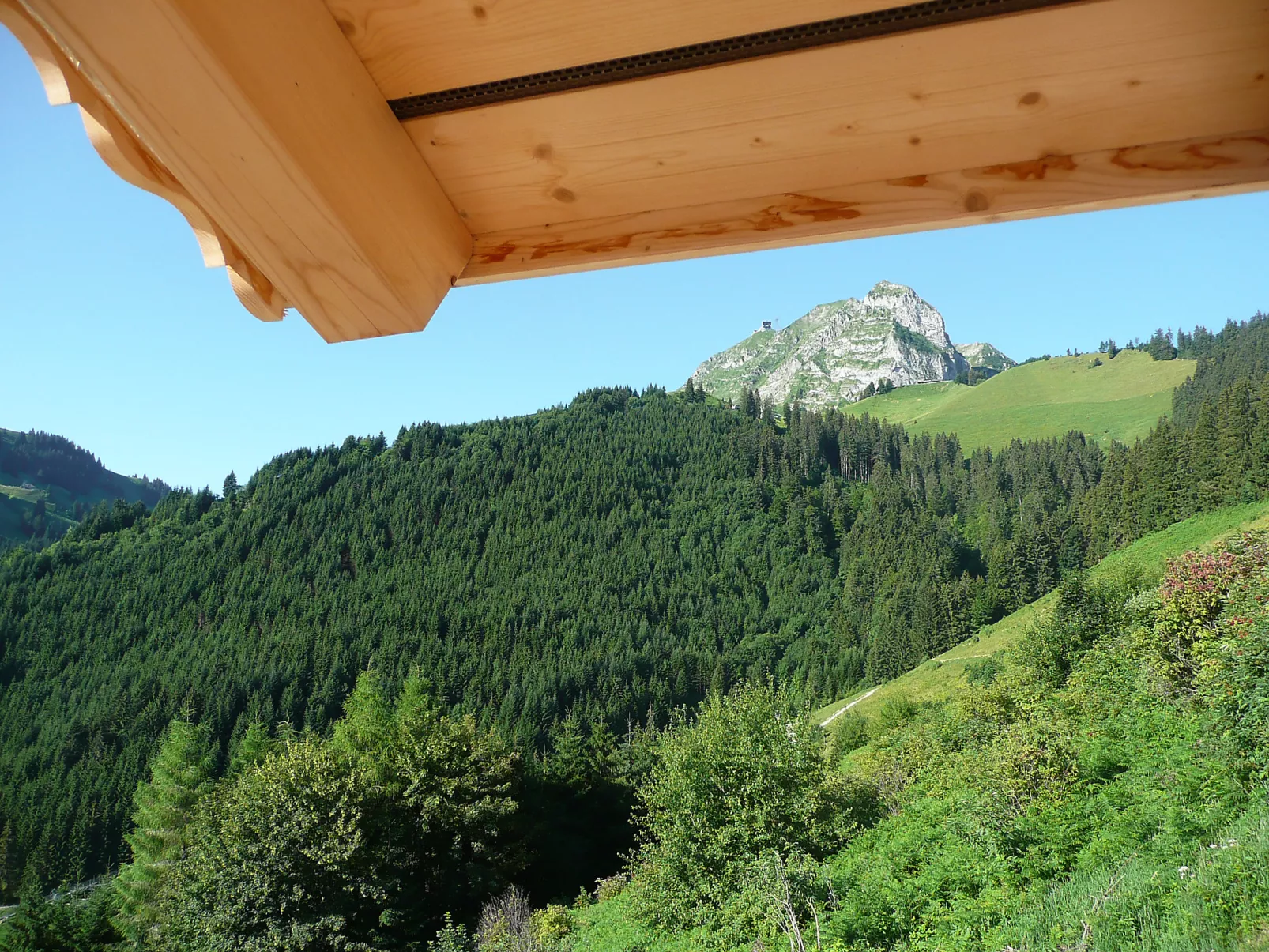 Chalet La Poya-Draußen