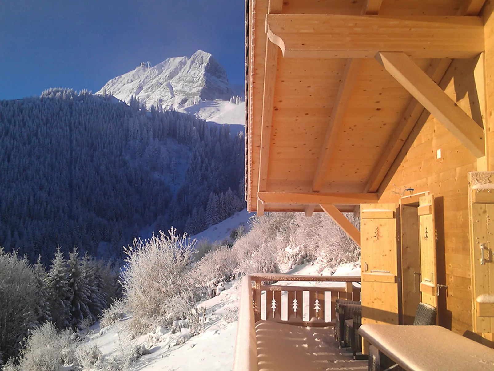 Chalet La Poya-Draußen