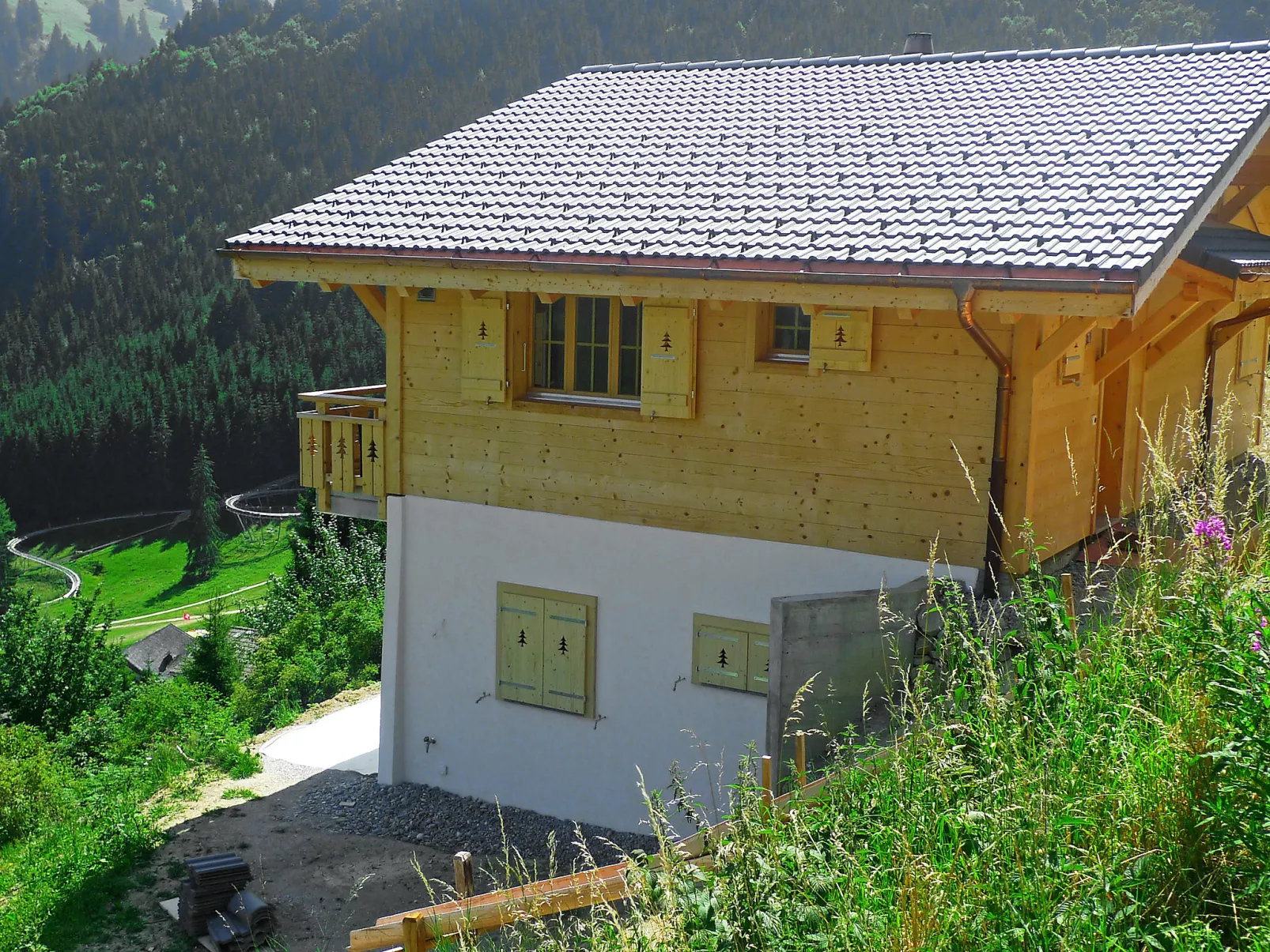 Chalet La Poya-Draußen