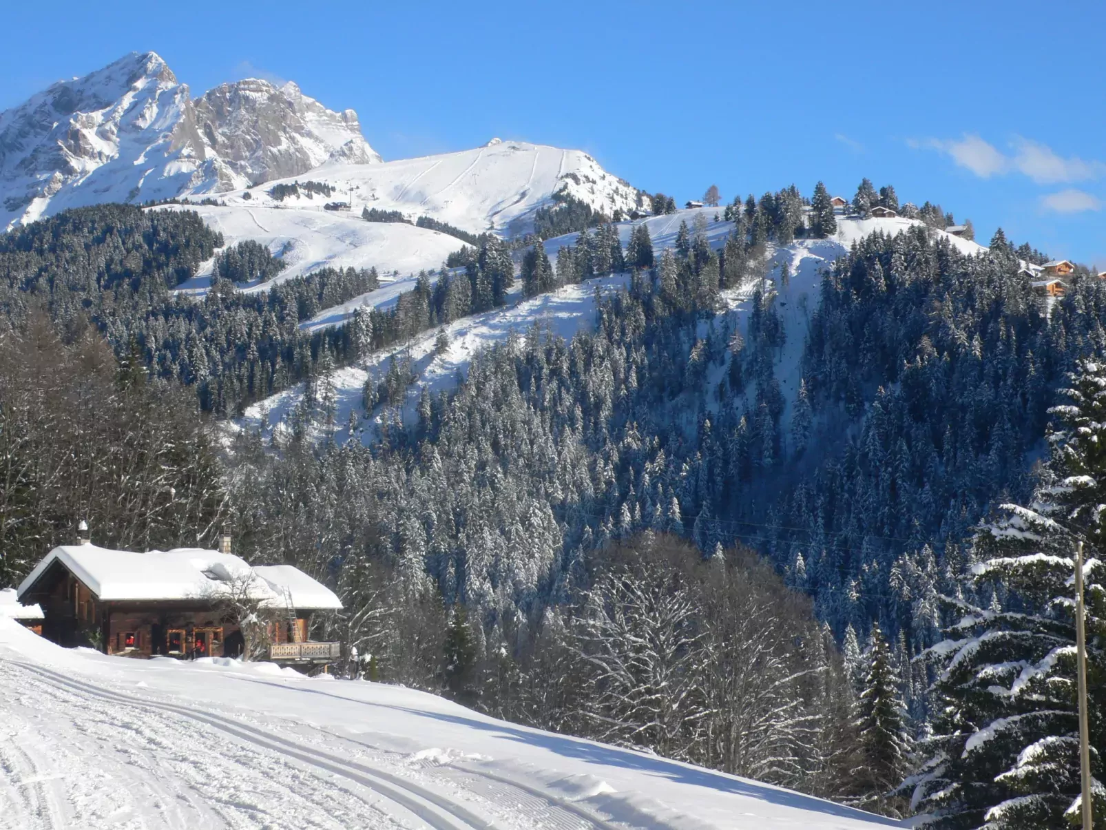 Gai Matin A 6-Area
