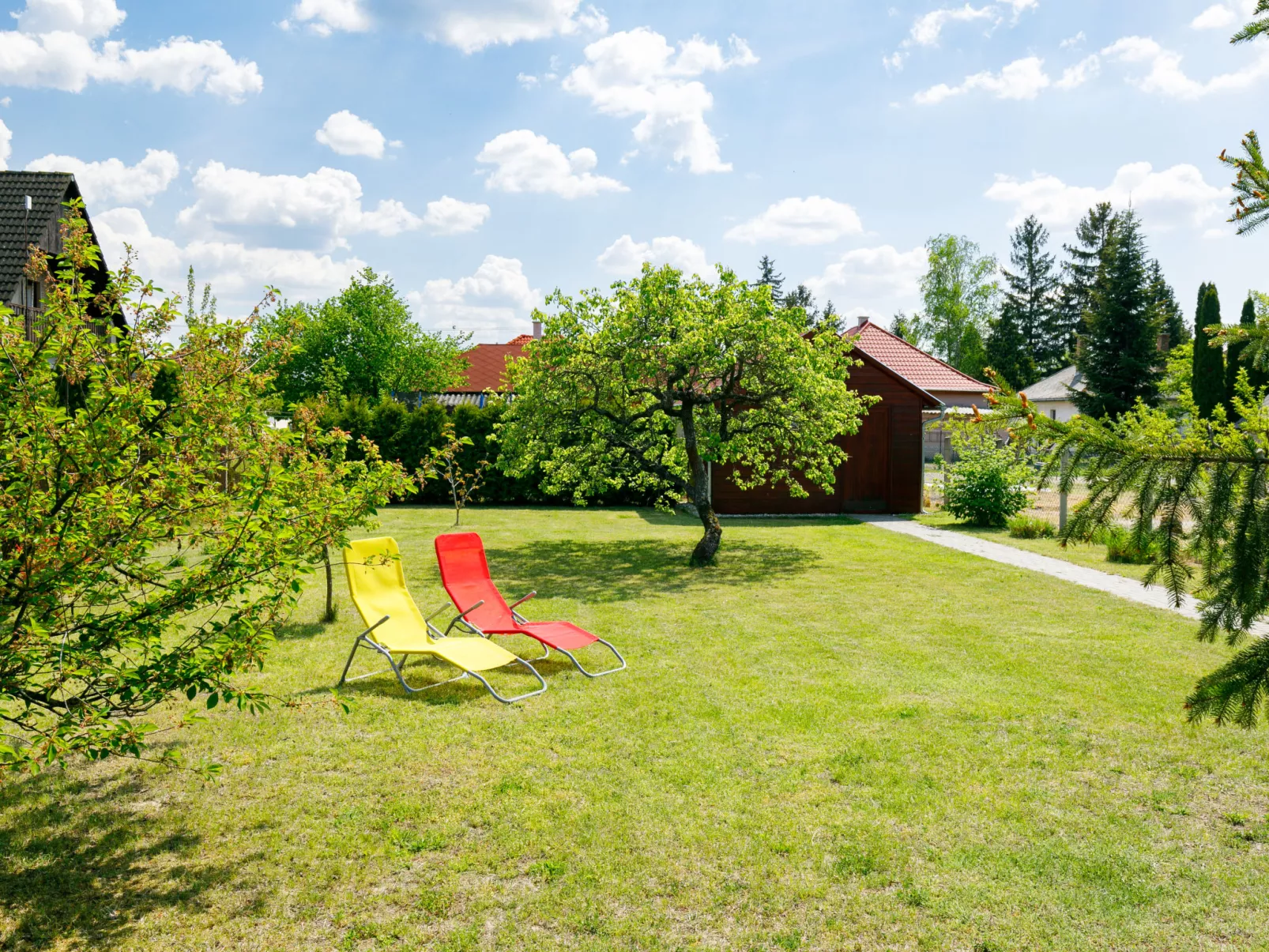 Pear Trees-Outside