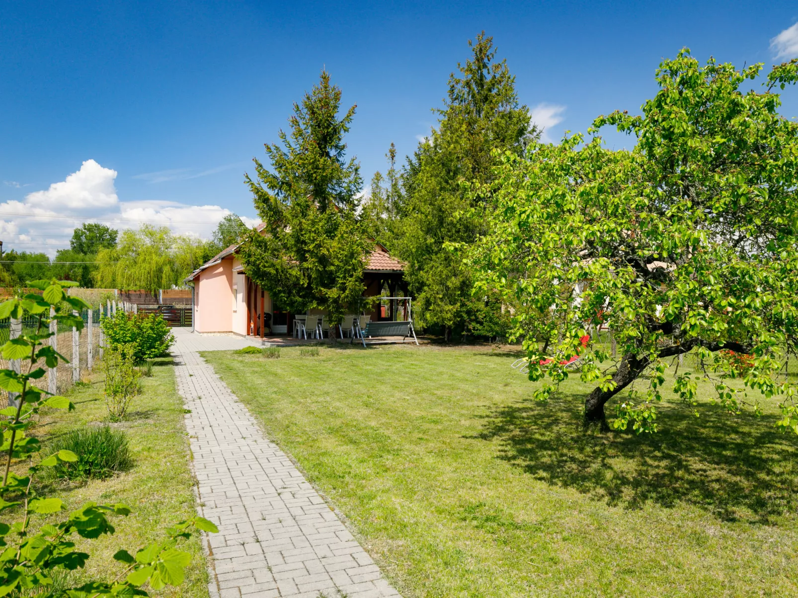 Pear Trees-Outside