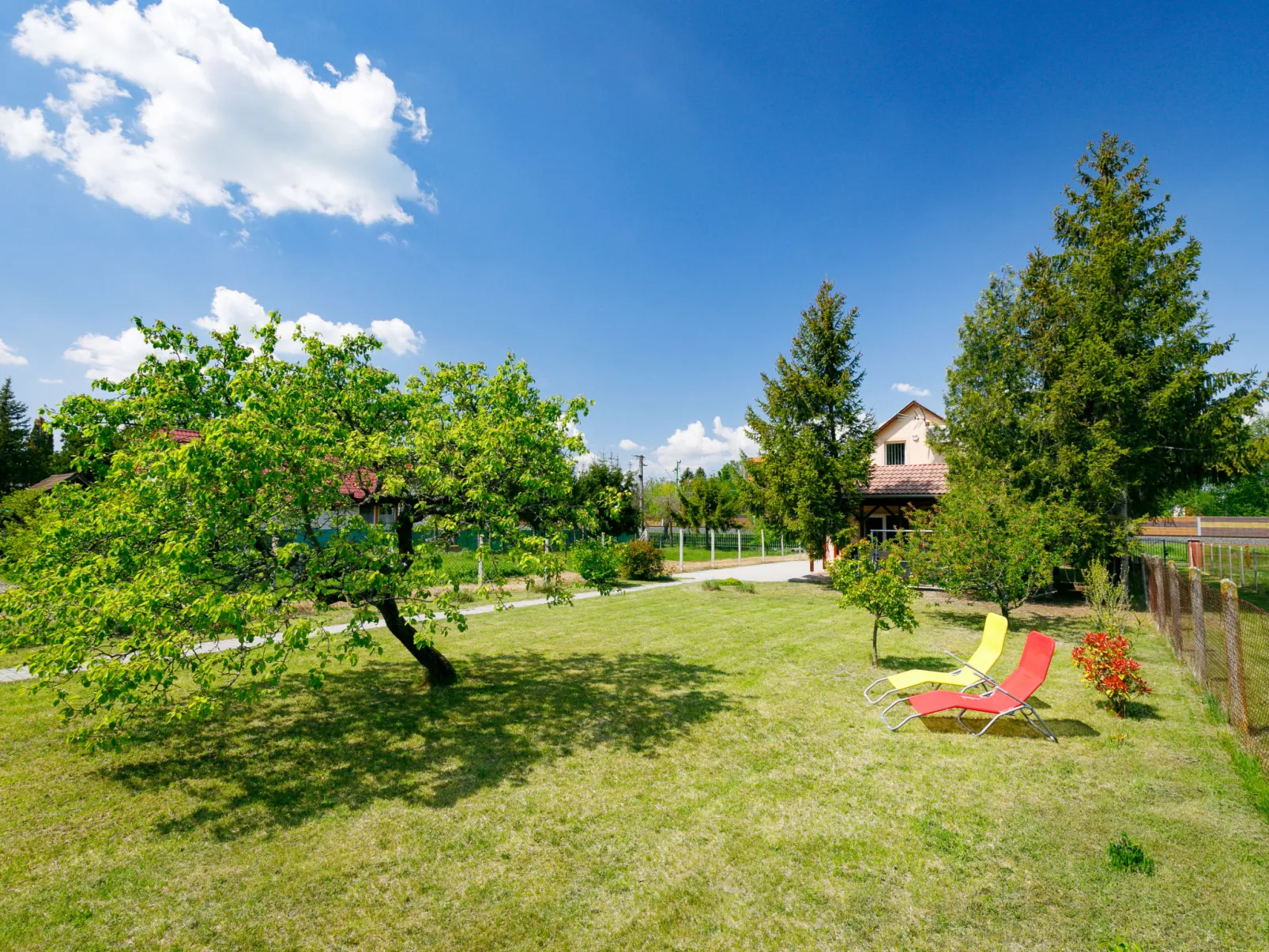 Pear Trees-Outside
