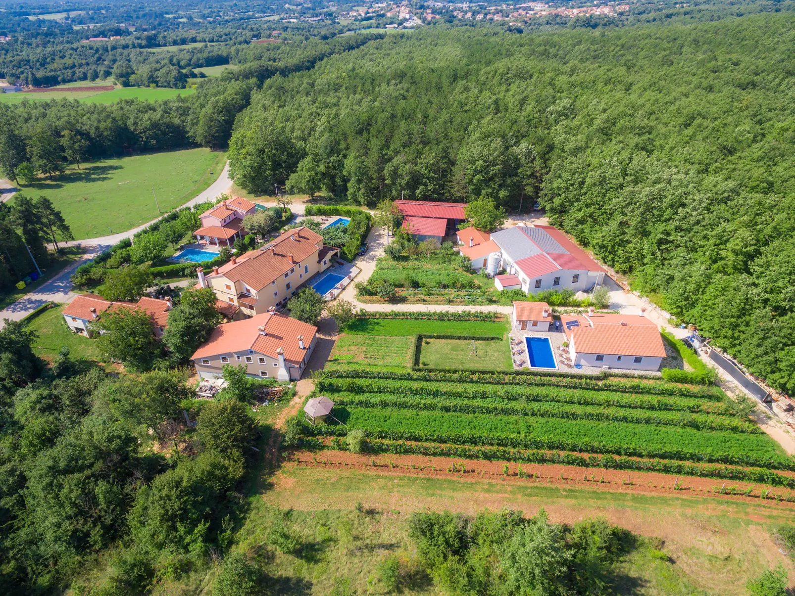 Villa Mihael-Inside