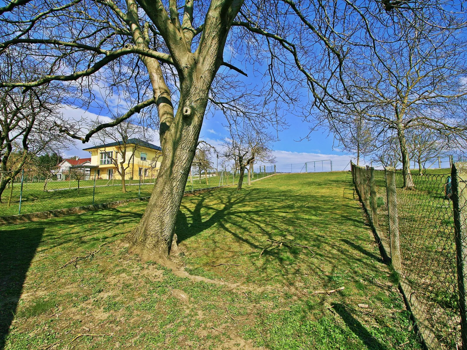Friedl-Outside