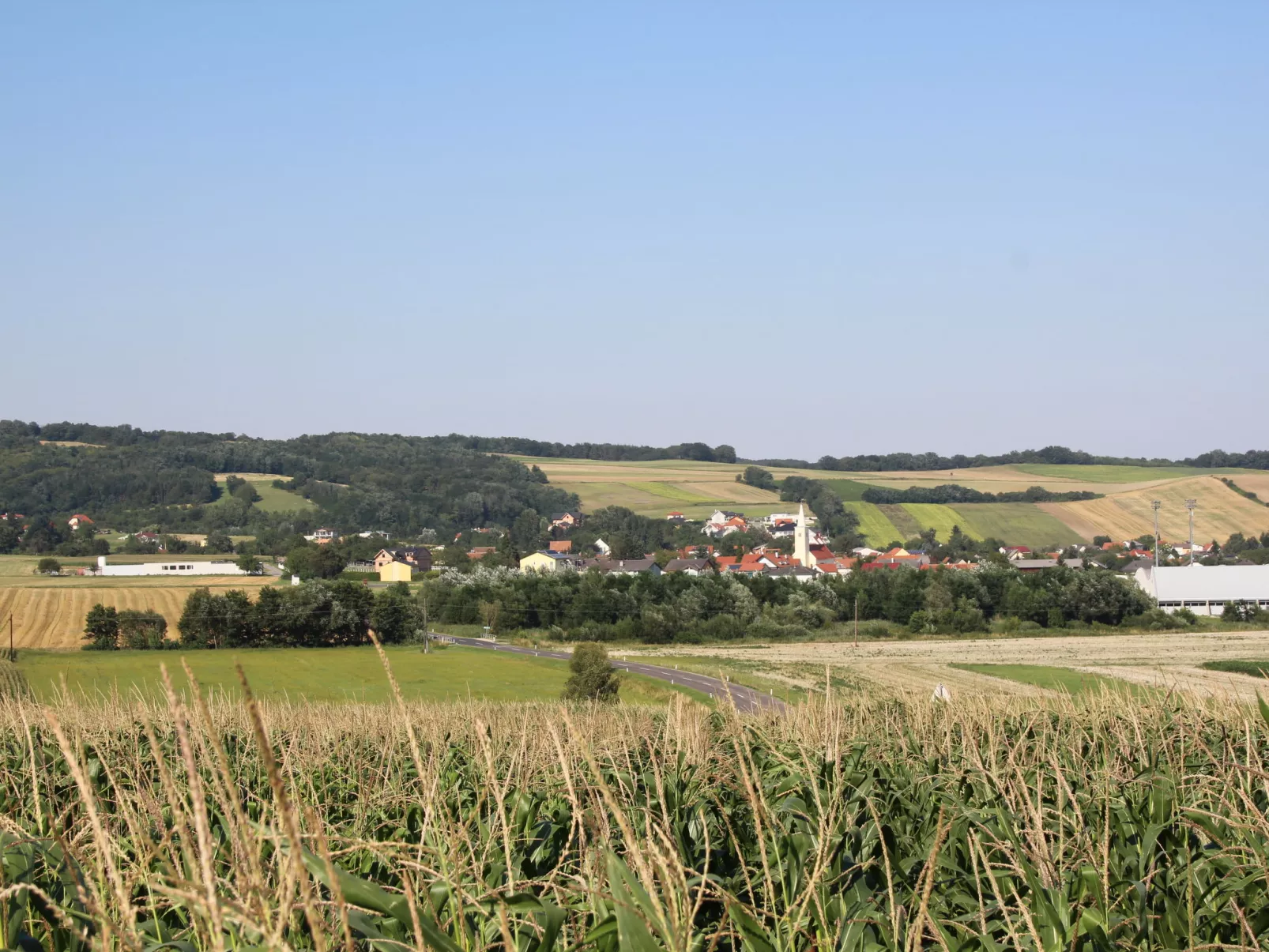 Friedl-Area