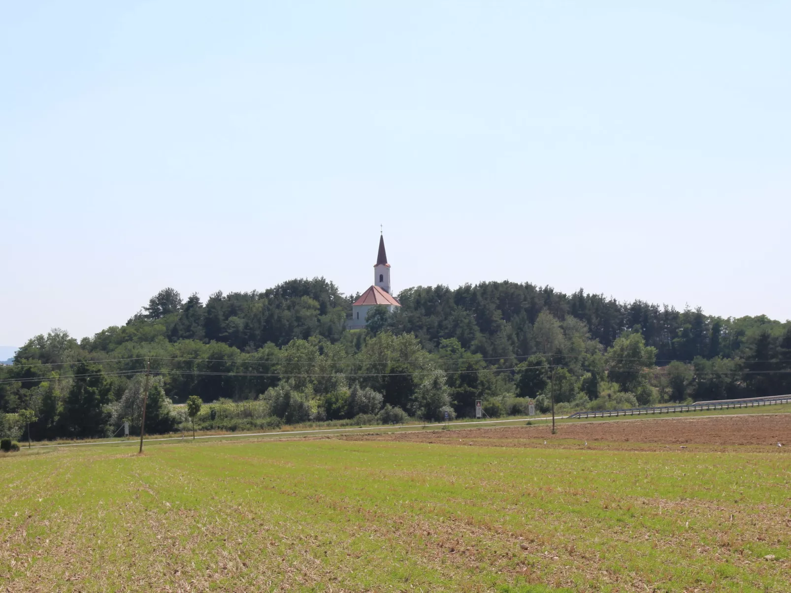 Friedl-Area