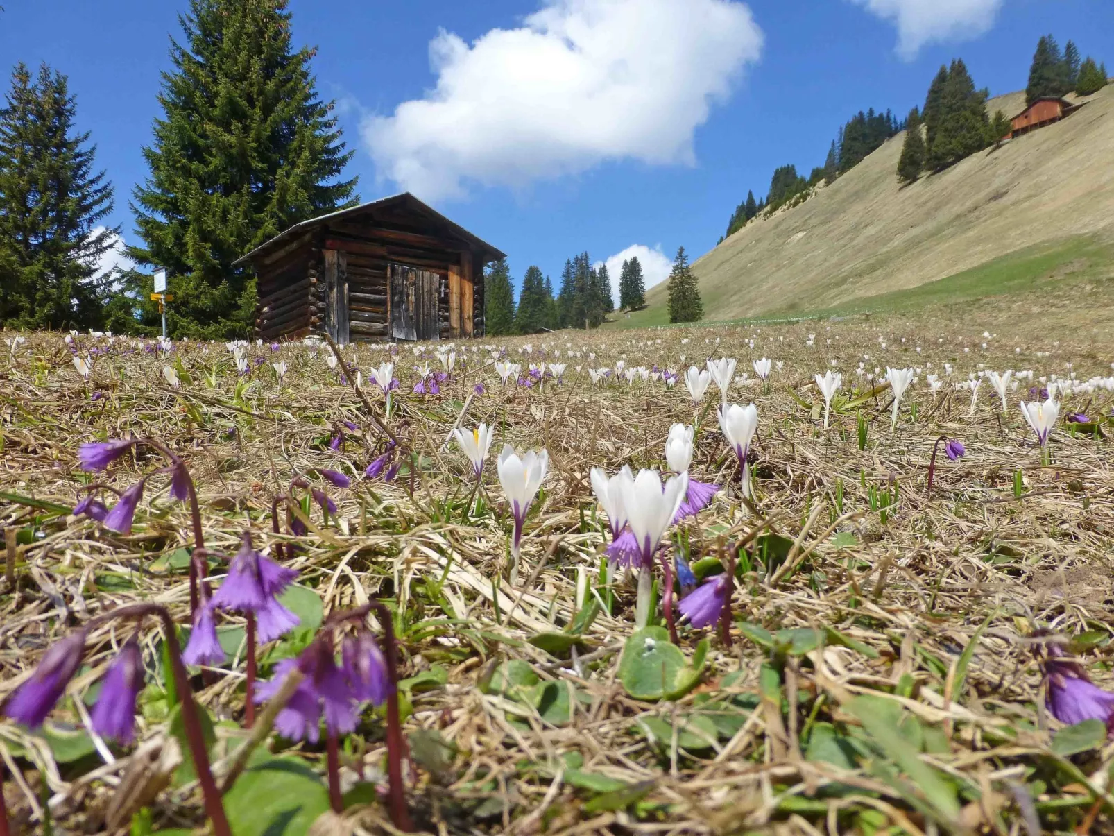 Ferienhaus Larix-Outside