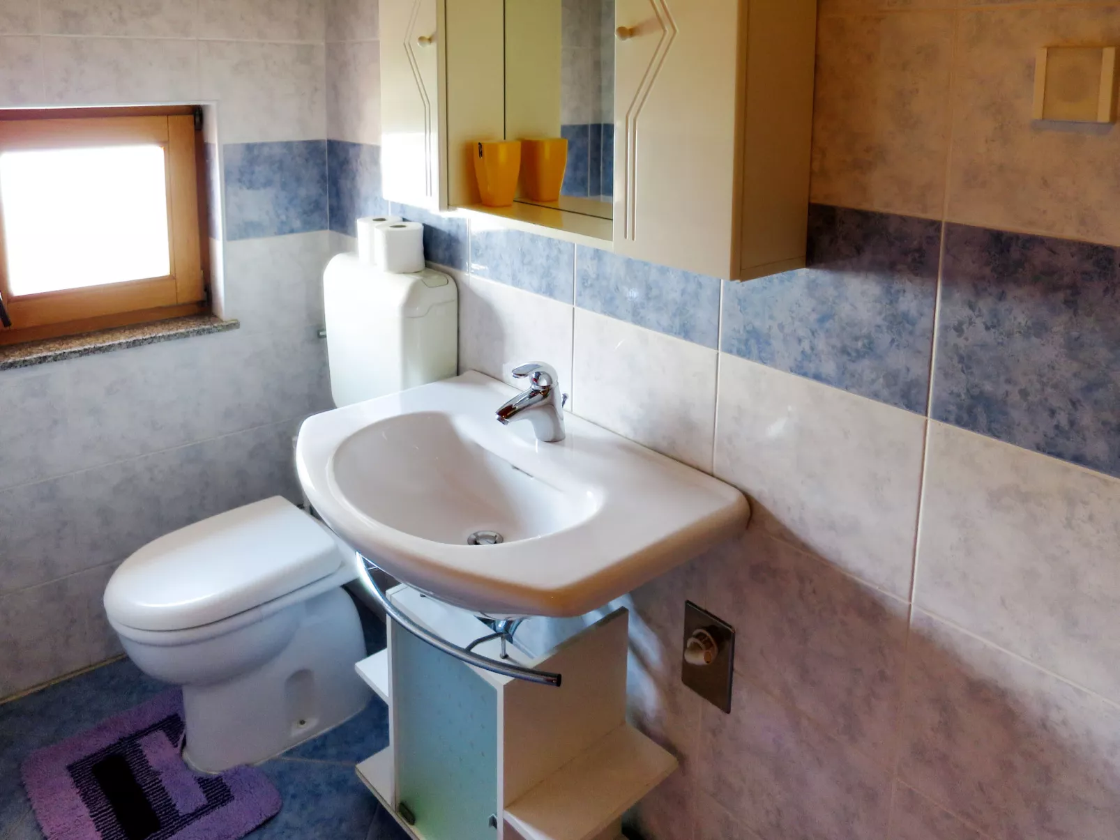 Ruža 1-Inside