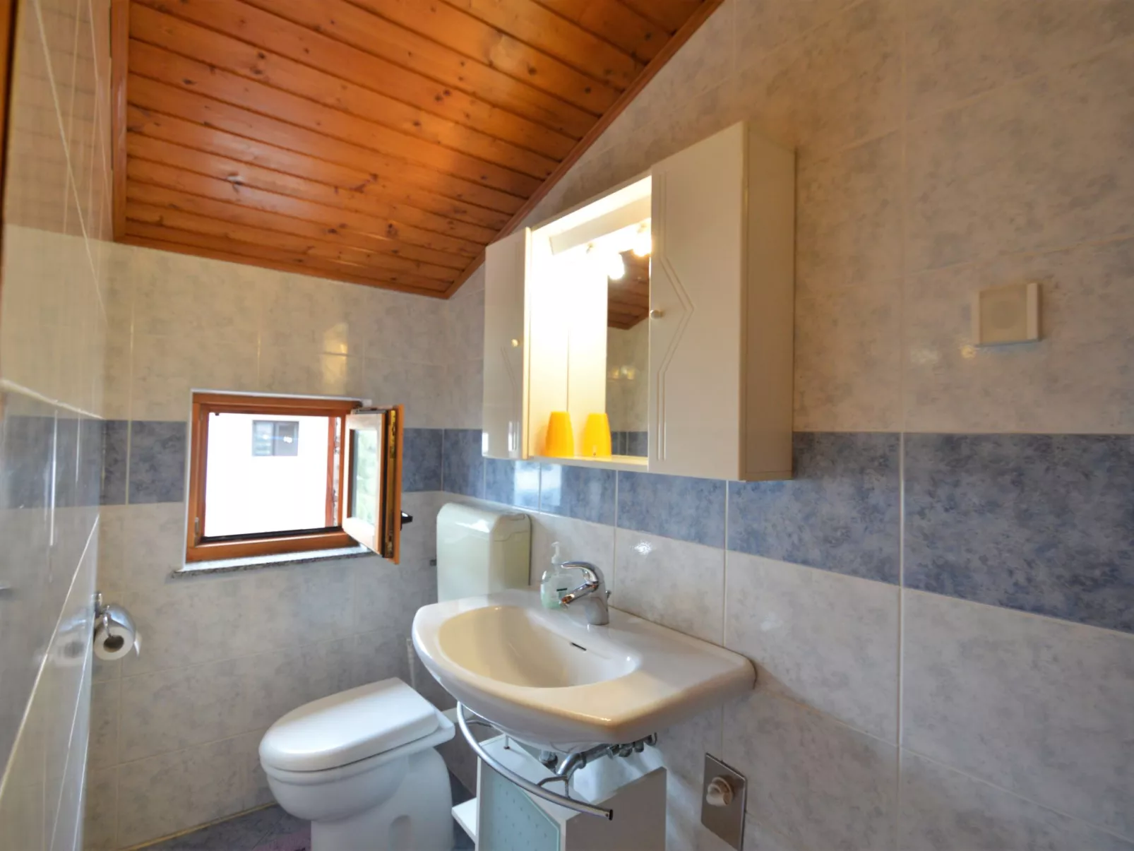 Ruža 2-Inside